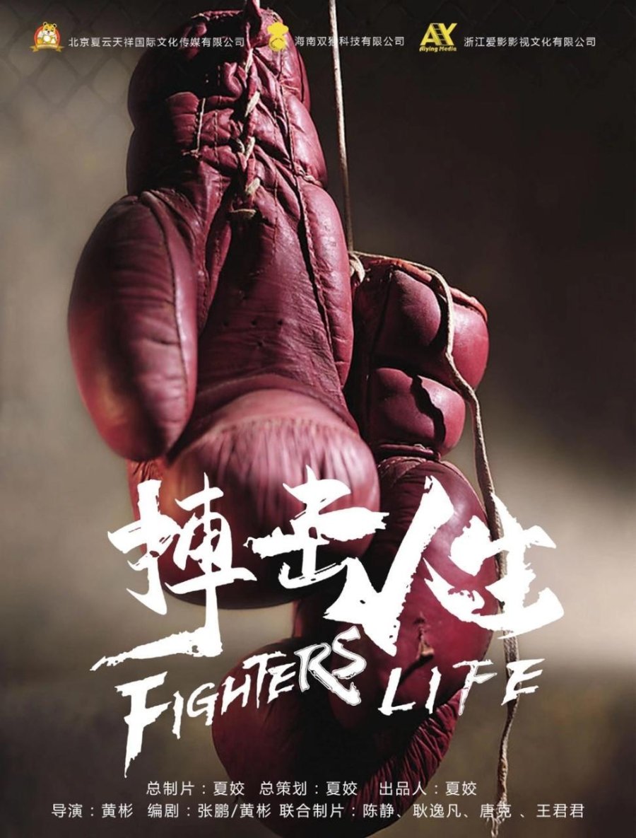 Fighter's Life İzle Afişi